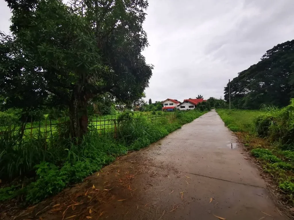 ขายที่ดินบ้านจัดสรร บ้านชมดอยริมปิง โฉนด ทำเลดีมาก