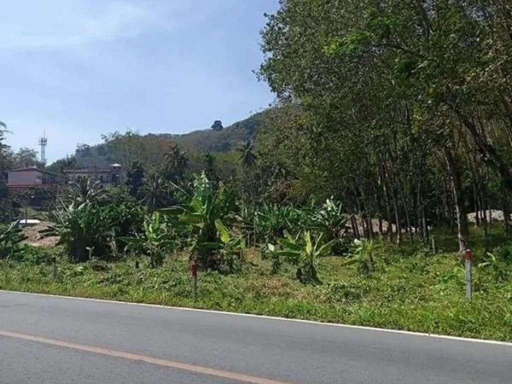 ขายที่ดินถลาง ภูเก็ต ใกล้หาดในทอน ใกล้สนามบินนานาชาติภูเก็ต