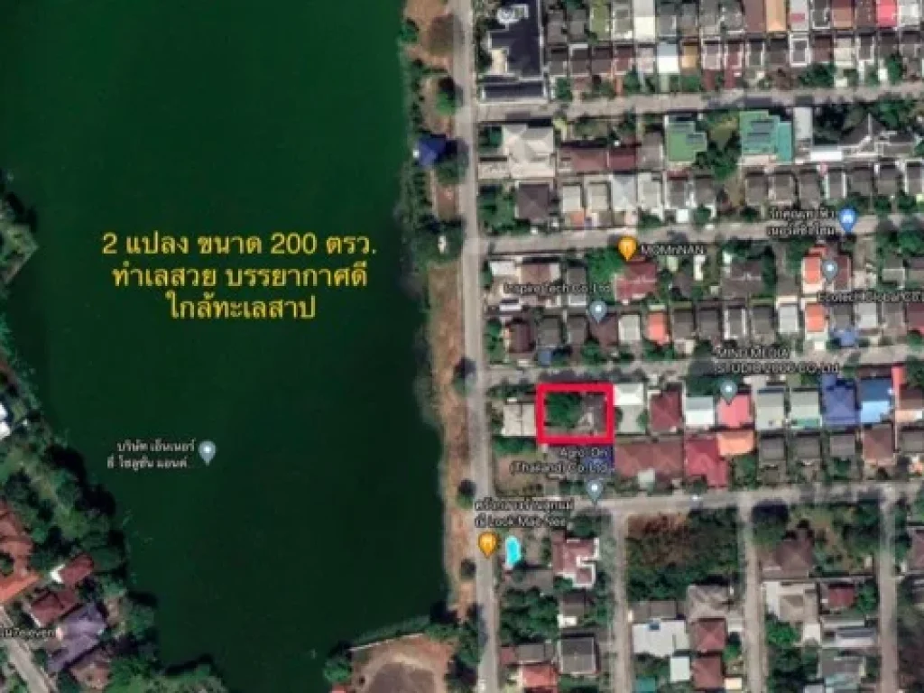 ขายบ้านเดี่ยว 200 ตรว ใกล้ทะเลสาปเมืองทอง ร่มรื่น บรรยากาศดี ราคาคุ้มค่า