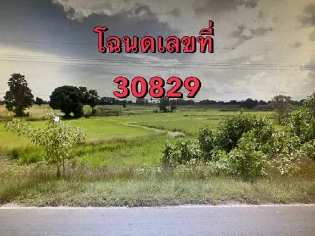 ขายที่ดินเปล่า ติดถนนหมายเลข 2069 จังหวัดชัยภูมิ เนื้อที่ 64 ไร่ 1 งาน 72 ตารางวา