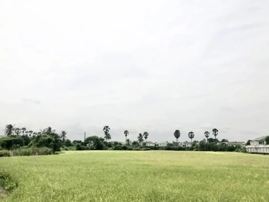 ขายที่ดินติดถนนราชพฤกษ์ ปากเกร็ด นนทบุรี