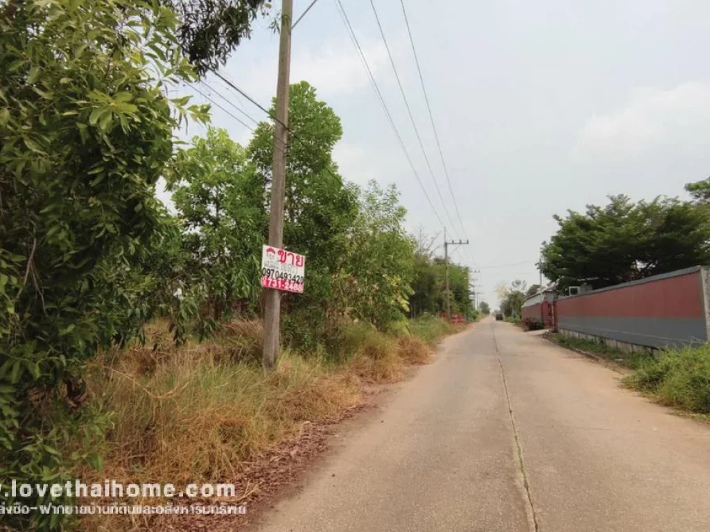 ขายที่ดิน ถเลียบคลอง11 ซบ่อปลา ปทุมธานี ใกล้บ่อตกปลาคลอง11 พื้นที่100ตรว ขายถูกสุดๆที่ดีๆ แบบนี้หาไม่ได้อีกแล้ว