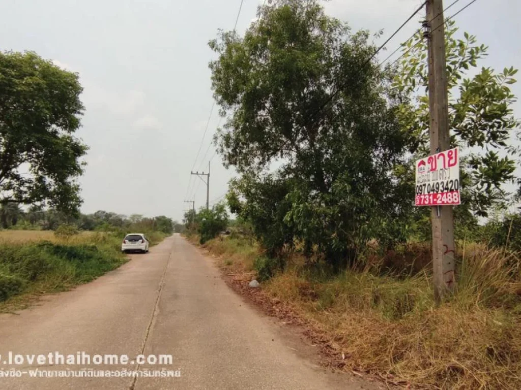 ขายที่ดิน ถเลียบคลอง11 ซบ่อปลา ปทุมธานี ใกล้บ่อตกปลาคลอง11 พื้นที่100ตรว ขายถูกสุดๆที่ดีๆ แบบนี้หาไม่ได้อีกแล้ว