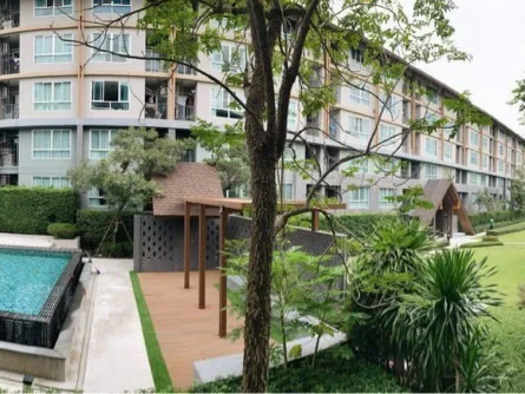 ขาย D condo campus หลังมช วิวสวน วิวสระ ของครบ ฟรีโอน