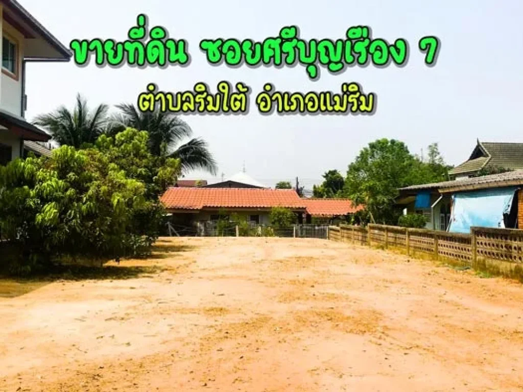 ขายที่ดิน ซอยศรีบุญเรือง 7 ตำบลริมใต้ อำเภอแม่ริม จังหวัดเชียงใหม่