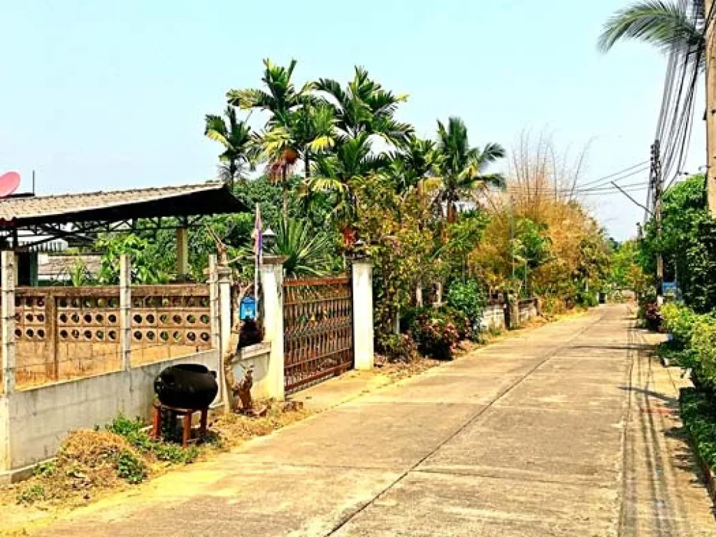 ขายที่ดิน ซอยศรีบุญเรือง 7 ตำบลริมใต้ อำเภอแม่ริม จังหวัดเชียงใหม่