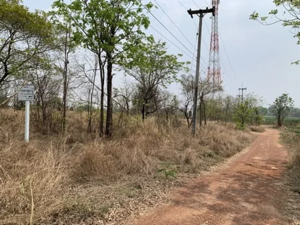 ขายที่ดินเปล่า จังหวัดอุดรธานี อยู่บนถนนมิตรภาพ เนื้อที่ 52 ไร่ 40 ตารางวา