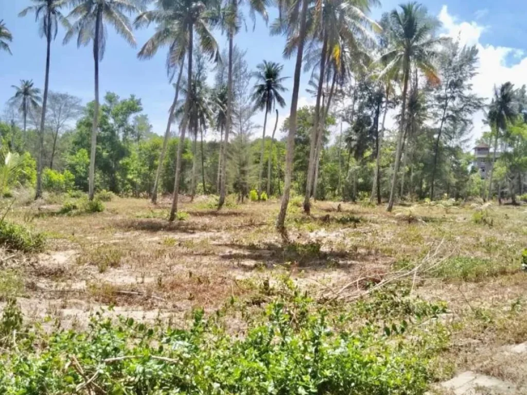 ขายที่ดินติดทะเล หาดไม้ขาว ภูเก็ต