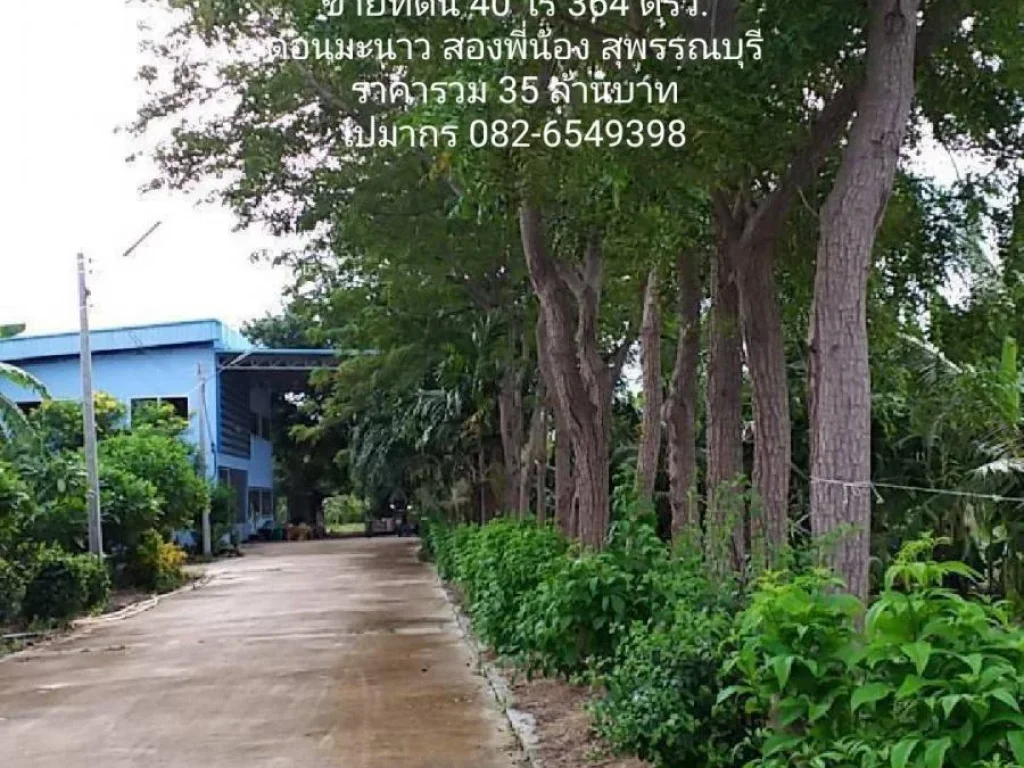 ขายที่ดินพร้อมสวนเกษตร โกดัง และ บ้านพัก พท 40 ไร่ 364 ตรวอยู่ดอนมะนาว สุพรรณบุรี