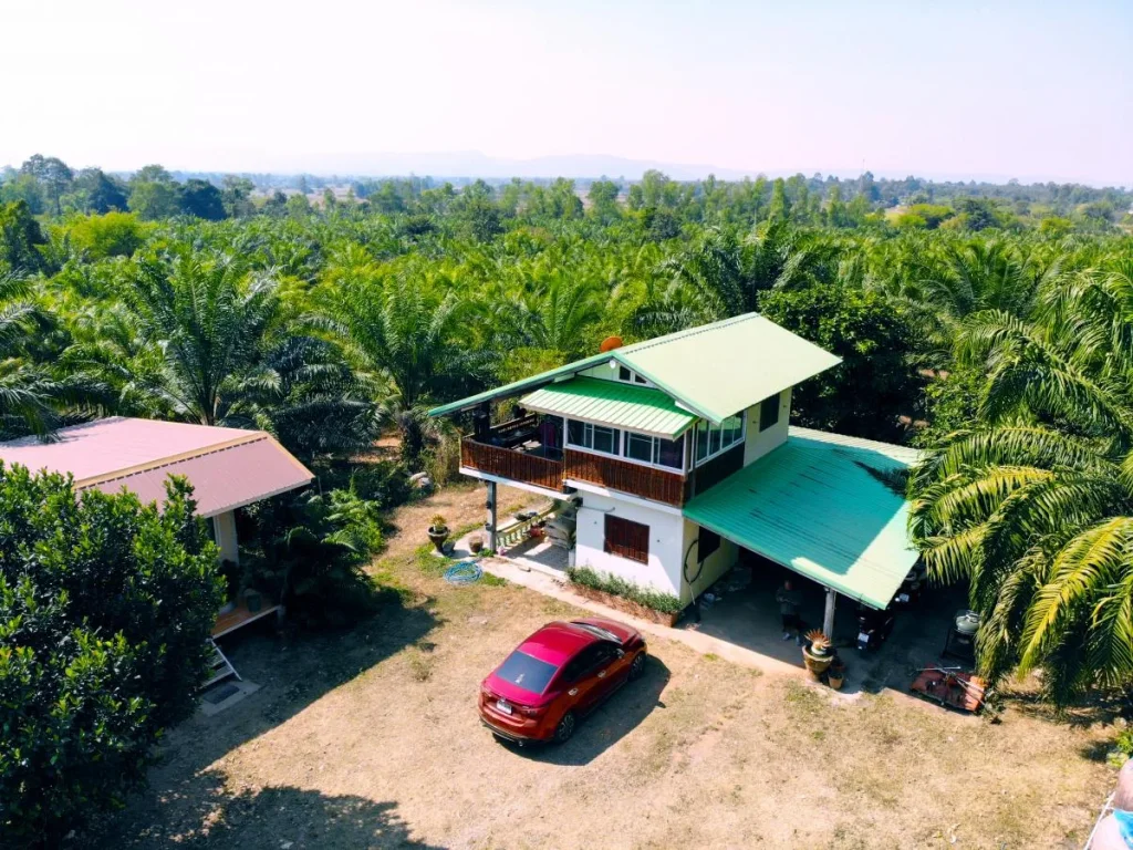 บ้านสวนบรรยากาศดี พร้อมสวนปาล์มเต็มพื้นที่ โฉนด 50 ไร่