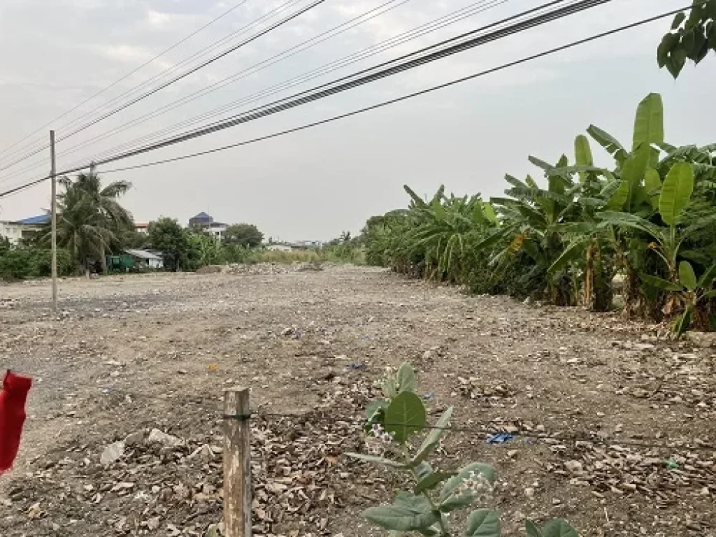 ขายที่ดิน 3 ไร่ ติดถนนเลียบทางรถไฟตลิ่งชัน ใกล้ถนนราชพฤษ์ ติดทรัพย์