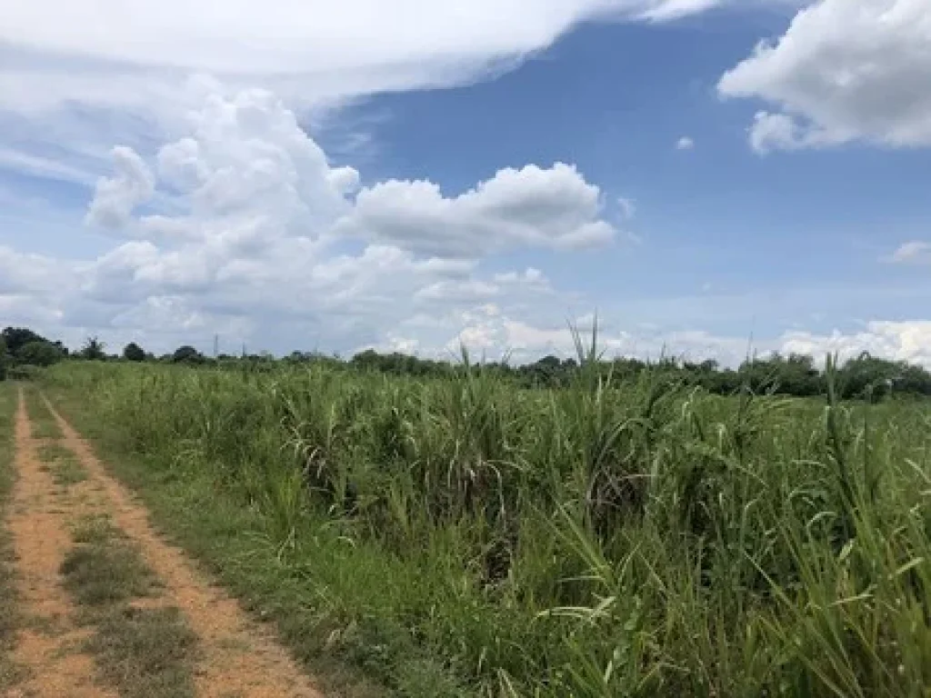 ขายที่ดินแปลงสวยมาก ตรงข้ามวัดนาคอก ใกล้เมืองราชบุรี เจ้าของขายเอง