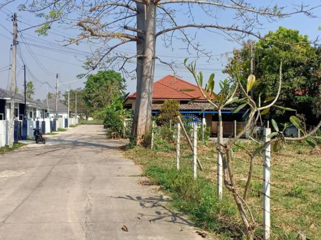 ขายที่ดินติดถนนสองด้าน ห่างกาดฝรั่งเพียง 2 กม