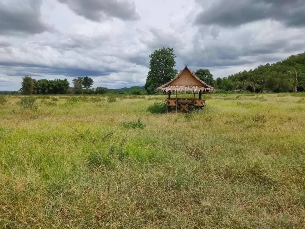 ที่ดินแบ่งขายด่านช้าง 2 ไร่ ใกล้ถสุพรรณบุรี 4016 - 1 กม จสุพรรณบุรี