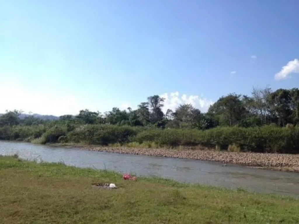 ขายที่ดินใกล้แหล่งท่องเที่ยวสะพานซูตองเป้ ติดแม่น้ำปาย บรรยากาศธรรมชาติ