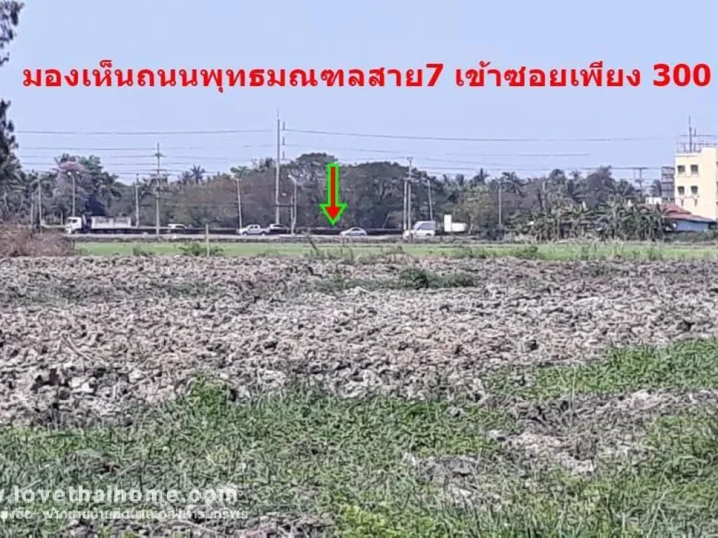 ขายที่ดินเปล่าถนนพุทธมณฑลสาย7 ซอยท่ายายโหมด ติดหมู่บ้านออมไทย นครชัยศรี นครปฐม พื้นที่2ไร่ 5ตารางวา ขายตารางวาละ11250บาท ใกล้เซ็นทรัลพลาซ่าศาลายา เข้