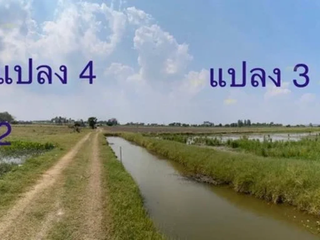 ขายที่ดินสวนเกษตร 30-3-14ไร่ จรเข้สามพัน แปลงสวย ทำเลดี เดินทางสะดวก ในอำเภออู่ทอง สุพรรณบุรี