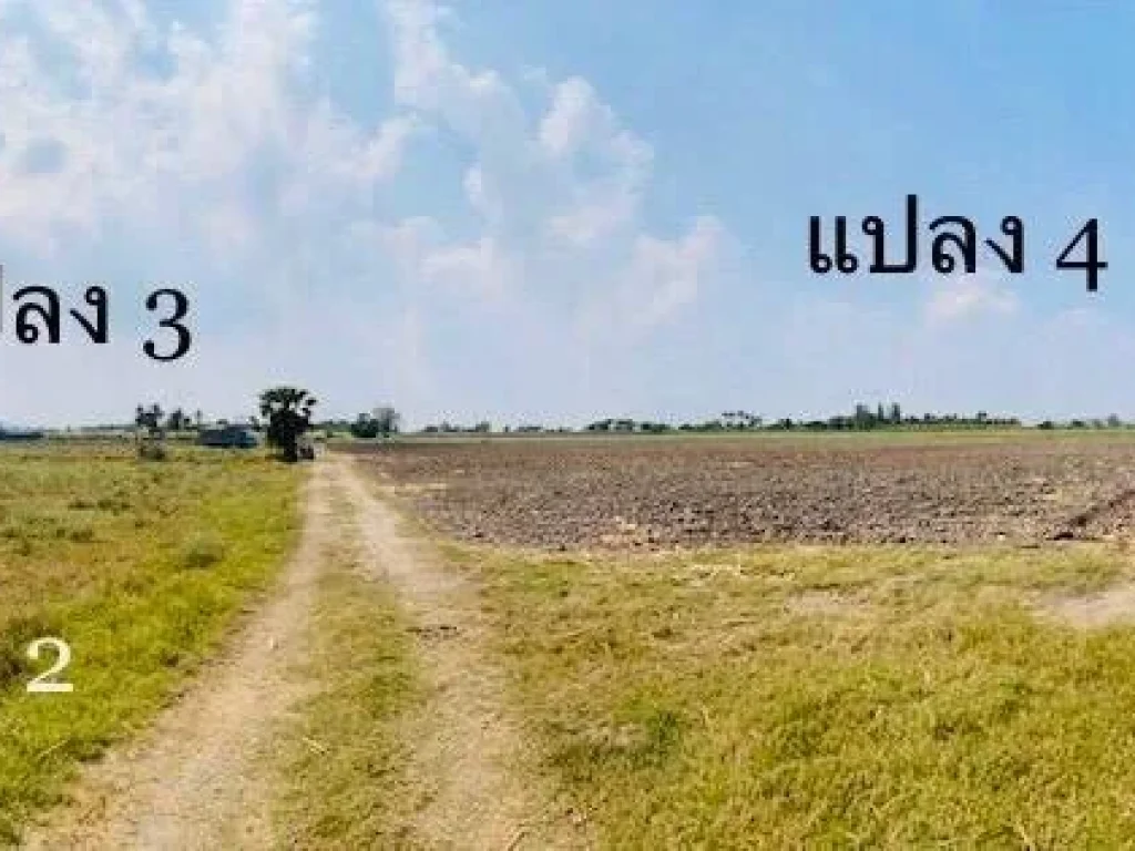 ขายที่ดินสวนเกษตร 30-3-14ไร่ จรเข้สามพัน แปลงสวย ทำเลดี เดินทางสะดวก ในอำเภออู่ทอง สุพรรณบุรี