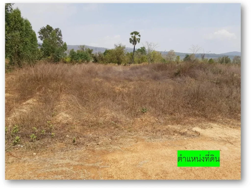 ขายที่ดิน 289 ตรวา C73 ใกล้ถนนบายพาส หนองบัวลำภู 3038 289 sqwa land near Nongbualamphu Bypass 3038