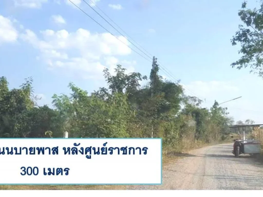 ขายที่ดิน 289 ตรวา C73 ใกล้ถนนบายพาส หนองบัวลำภู 3038 289 sqwa land near Nongbualamphu Bypass 3038