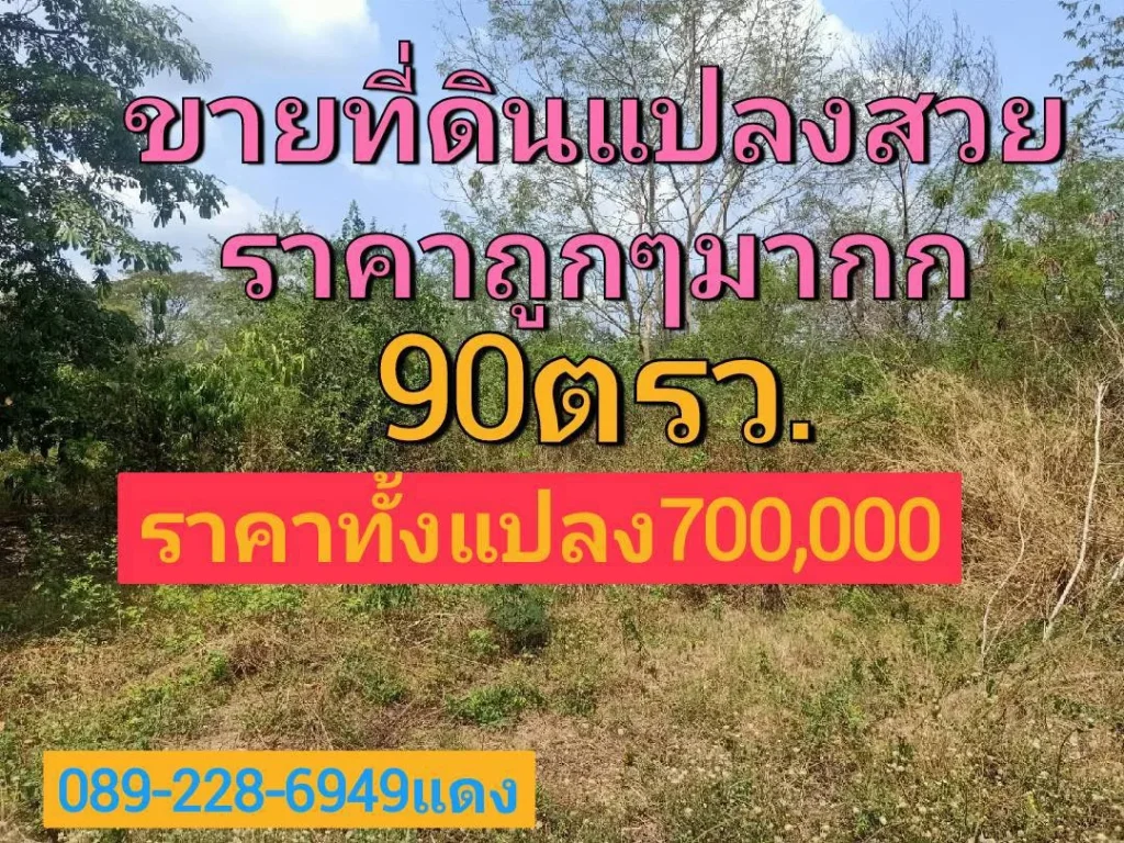 ขายที่ดินโชน อธัญบุรี และ ลำลูกกา คลอง12ขายถูกๆๆต้องที่นี้ หน้าแปลงกว้าง18มลึก18มรูปทรงสี่เหลี่ยมจตุรัส