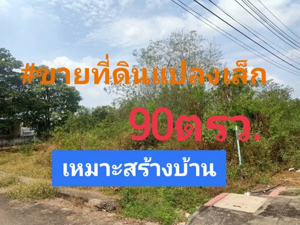 ขายที่ดินโชน อธัญบุรี และ ลำลูกกา คลอง12ขายถูกๆๆต้องที่นี้ หน้าแปลงกว้าง18มลึก18มรูปทรงสี่เหลี่ยมจตุรัส