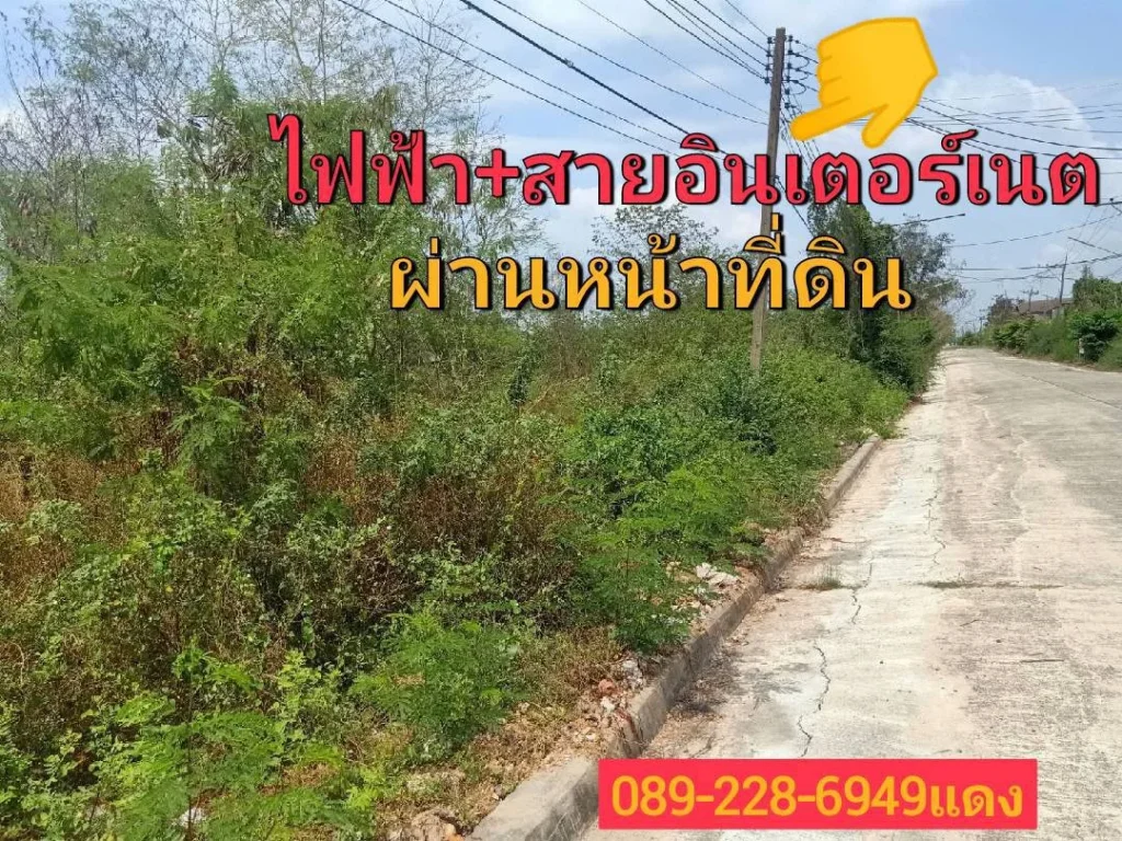 ขายที่ดินโชน อธัญบุรี และ ลำลูกกา คลอง12ขายถูกๆๆต้องที่นี้ หน้าแปลงกว้าง18มลึก18มรูปทรงสี่เหลี่ยมจตุรัส