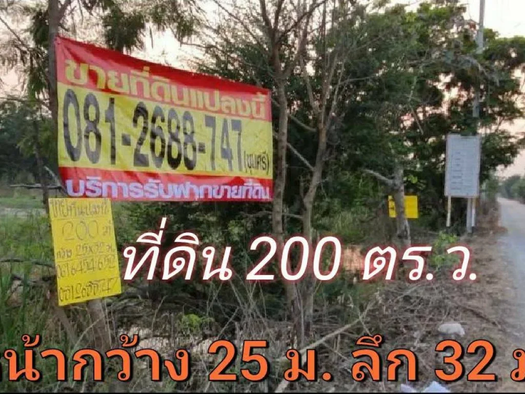 ขายที่ดินราคาถูก 200 ตารางวา ติดถนนลาดยาง นบ5036 ตำบลไทรใหญ่ อำเภอไทรน้อย นนทบุรี