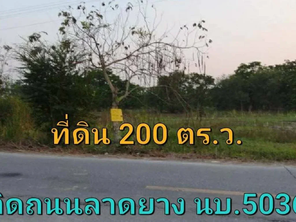 ขายที่ดินราคาถูก 200 ตารางวา ติดถนนลาดยาง นบ5036 ตำบลไทรใหญ่ อำเภอไทรน้อย นนทบุรี