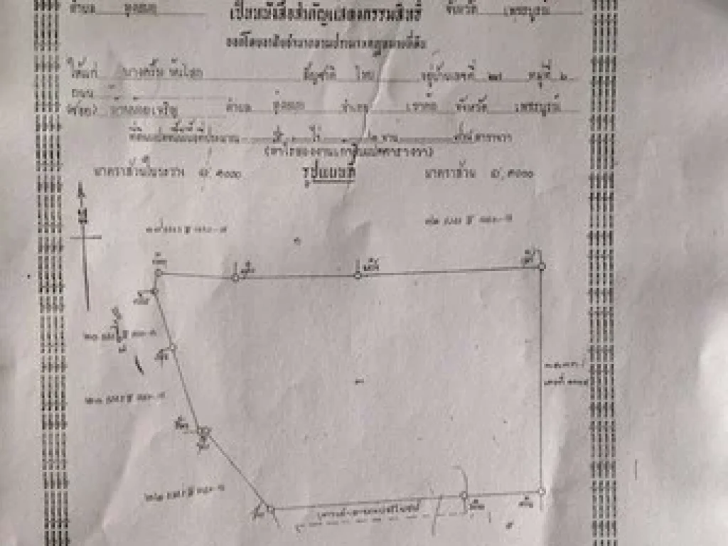 ขายด่วนที่ดิน 2 โฉนด 6 ไร่ 36 ตรวา อเขาค้อ จ เพชรบูรณ์