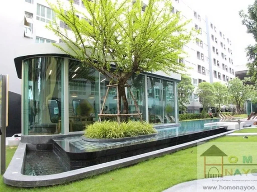 ให้เช่า 7000 Elio Condo สุขุมวิท 64 ใกล้ BTS ปุณณวิถี