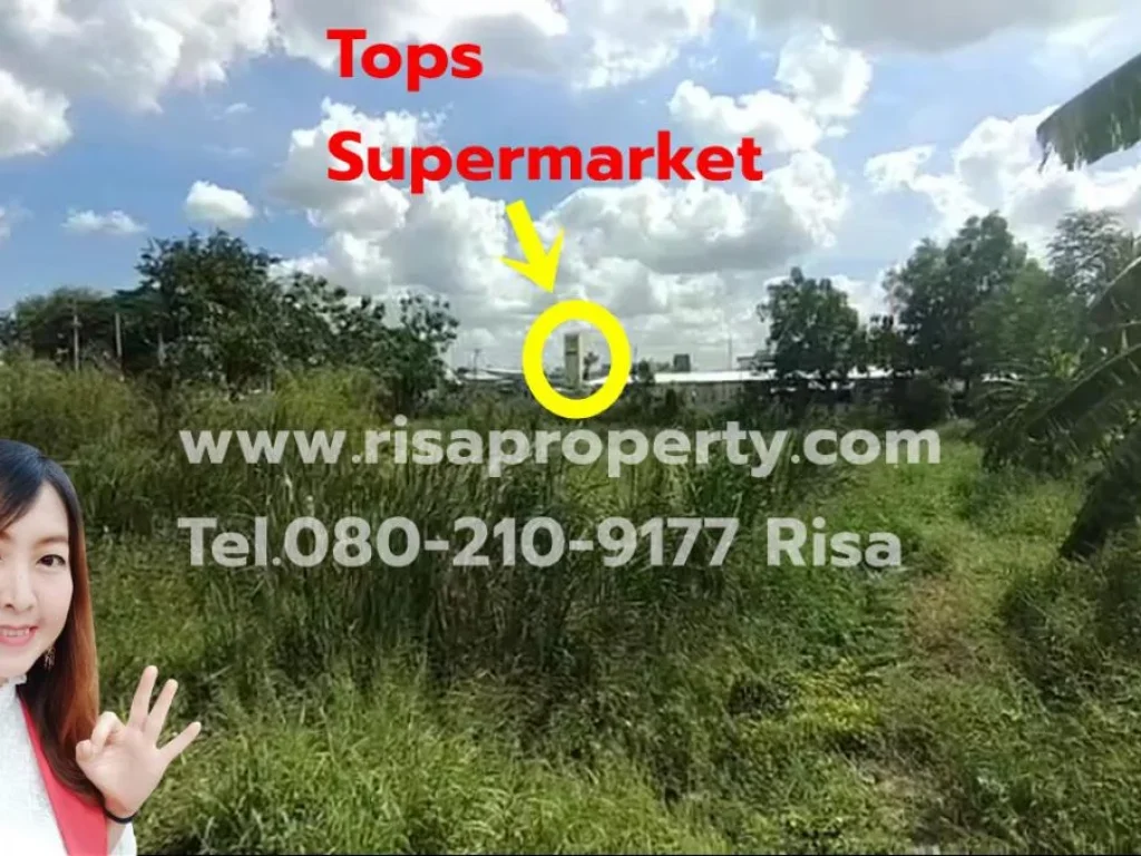 ขายที่ดินท่าอิฐปากเกร็ด นนทบุรี ใกล้ถนนราชพฤกษ์ ใกล้รถไฟฟ้า l Risapropertycom