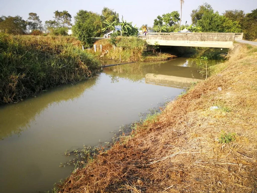 ขาย ที่ดินเปล่า 25ไร่ ตำบลบ้านปทุม อำเภอสามโคก จังหวัดปทุมธานี