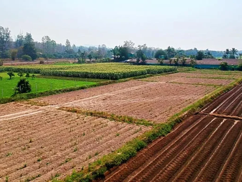 ขายที่ดิน ใกล้คลองชลประทาน ตำบลแม่แฝก อำเภอสันทราย จังหวัดเชียงใหม่