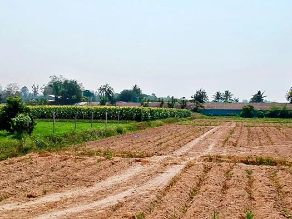 ขายที่ดิน ใกล้คลองชลประทาน ตำบลแม่แฝก อำเภอสันทราย จังหวัดเชียงใหม่