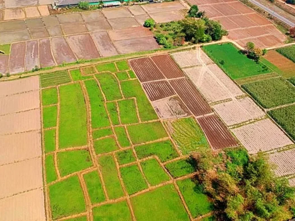 ขายที่ดิน ใกล้คลองชลประทาน ตำบลแม่แฝก อำเภอสันทราย จังหวัดเชียงใหม่