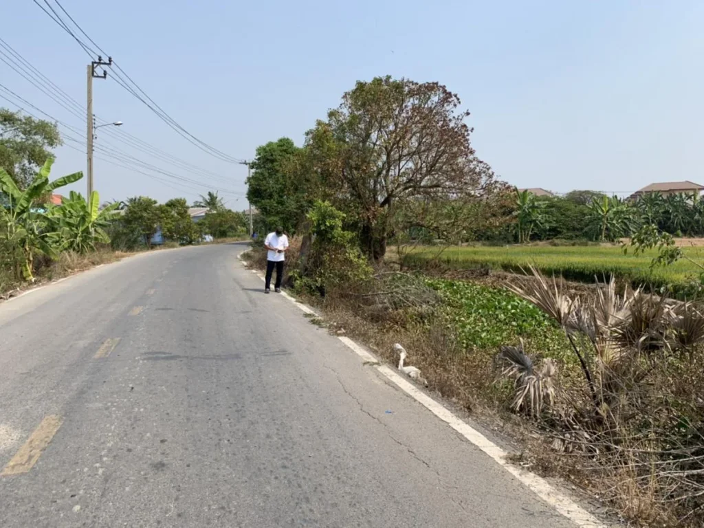 ที่ดิน อบางบัวทอง ตลำโพ นนทบุรี 52 ไร่