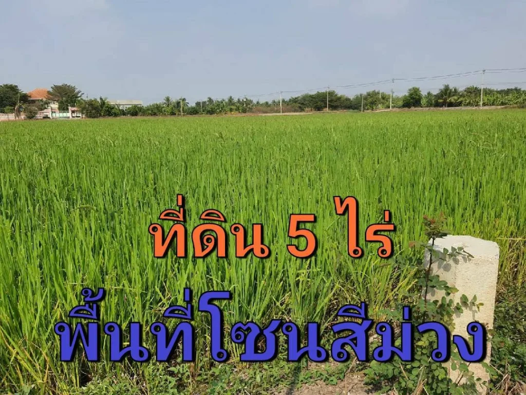 ขายที่ดินสีม่วง 5 ไร่ ติดถนน นบ3015 ตำบลไทรใหญ่ อำเภอไทรน้อย นนทบุรี