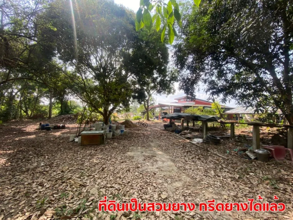 ขายที่ดิน 9-3-77 ไร่ หน้ากว้าง 80 เมตร ติดถนนสุขุมวิท ระยอง