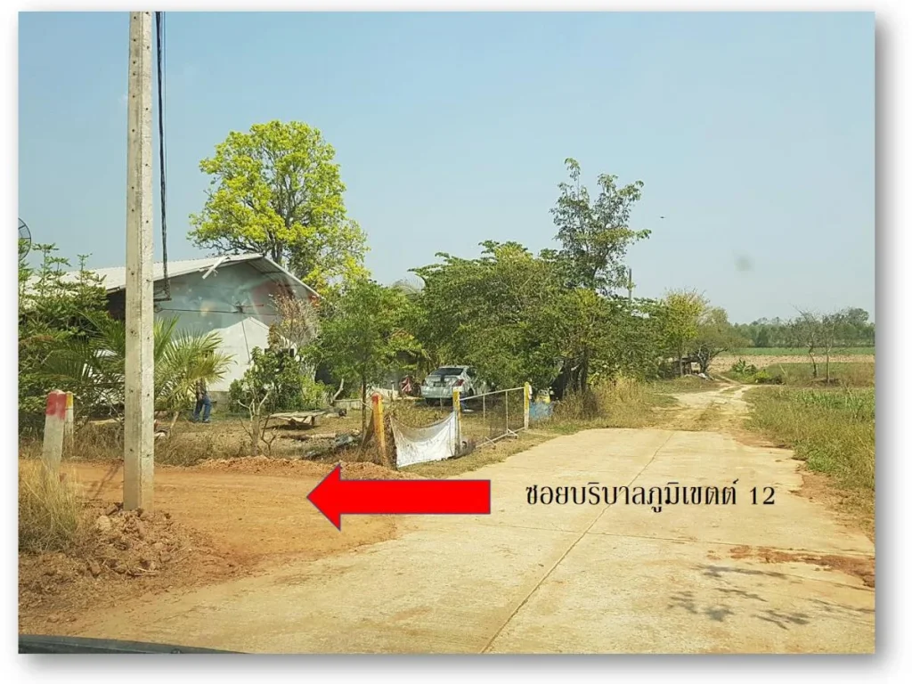 ที่ดินแบ่งขาย 3 ไร่ 3 งาน C83 ตบ้านผือ อบ้านผือ จอุดรธานี 3 Rai 300 sqwa land at Ban Phue Udonthani Province for sale