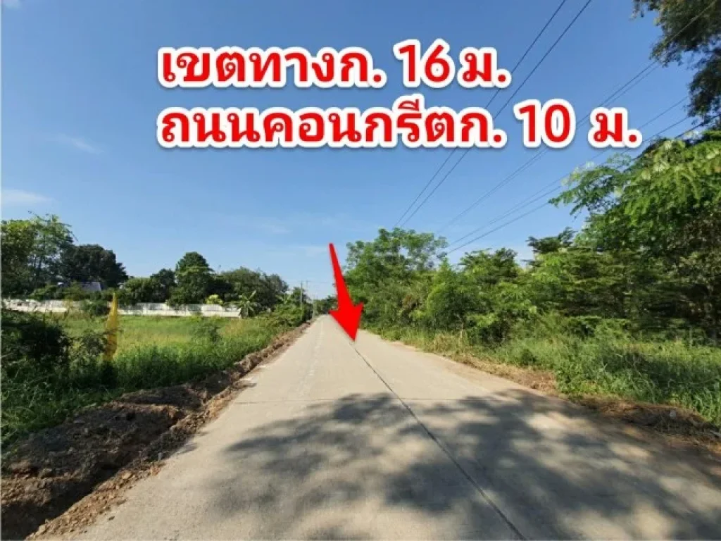 ขายด่วนที่ดินแปลงสวยติดถนน บึงคอไห ฝั่งตะวันตก ลำลูกกา คลอง12