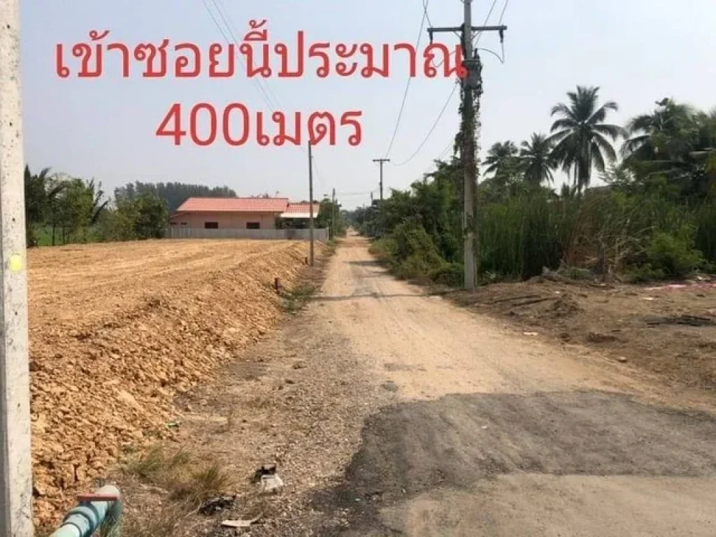 ด่วนสุดหลุดจอง 3 ล็อค โฉนดพร้อมโอน ที่ดินคลอง 9 หนองเสือ ปทุม 50 ตรว ติดถนนในซอยข้างซอยขุนดี