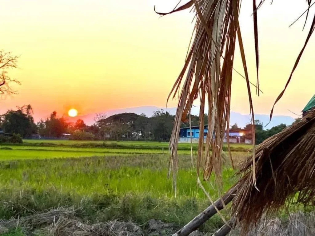 ขายที่ดินลวงเหนือ ดอยสะเก็ต วิวดอย ราคาถูก