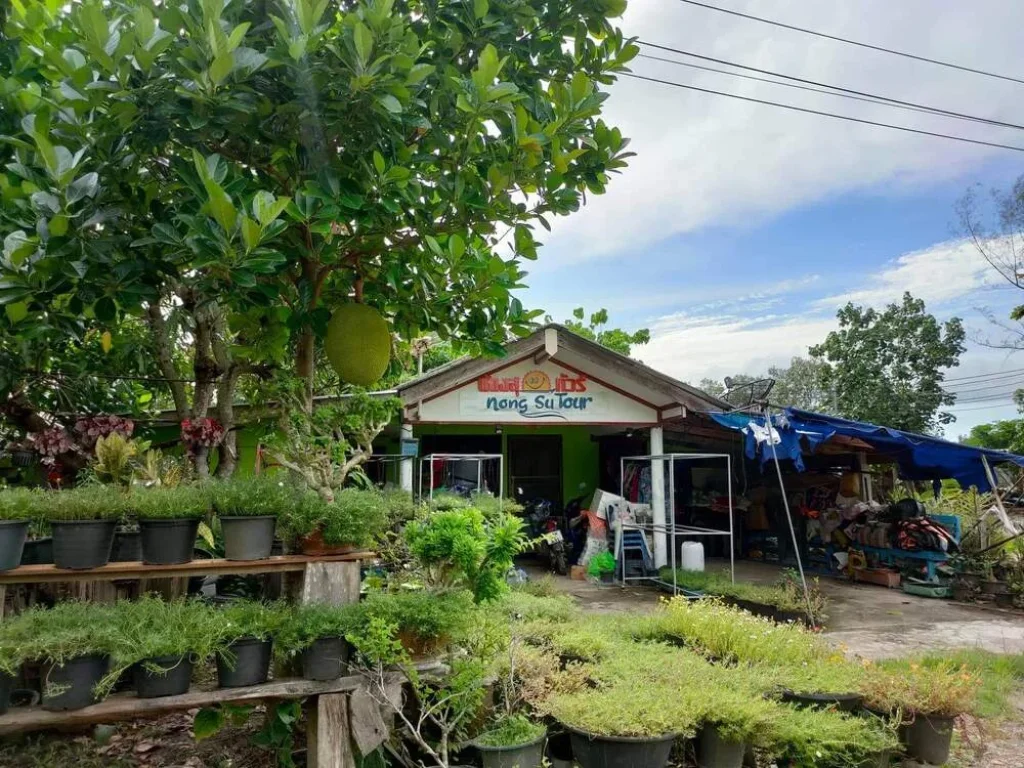 ขายที่ดินพร้อมบ้านพิกัดท่าเรือหาดปากเมง จตรัง ด้านหลังเป็นทะเลเหมาะสำหรับเป็นที่พักตากอากาศ