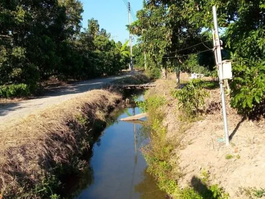 ขาย ที่ดิน พร้อมสวนลำไย เจ้าของขายเอง โฉนดพร้อมโอน สารภี เชียงใหม่