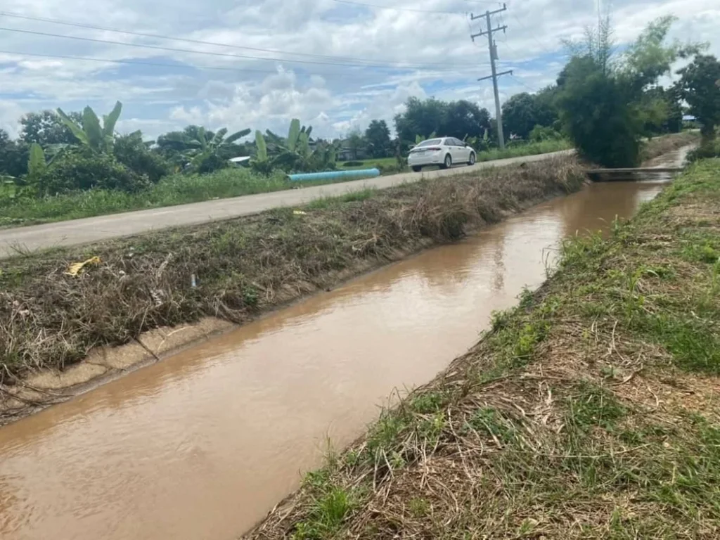 ขายที่ดิน ที่นาติดคลองชลประทาน 10-1-28 ไร่ อแม่ริม เชียงใหม่