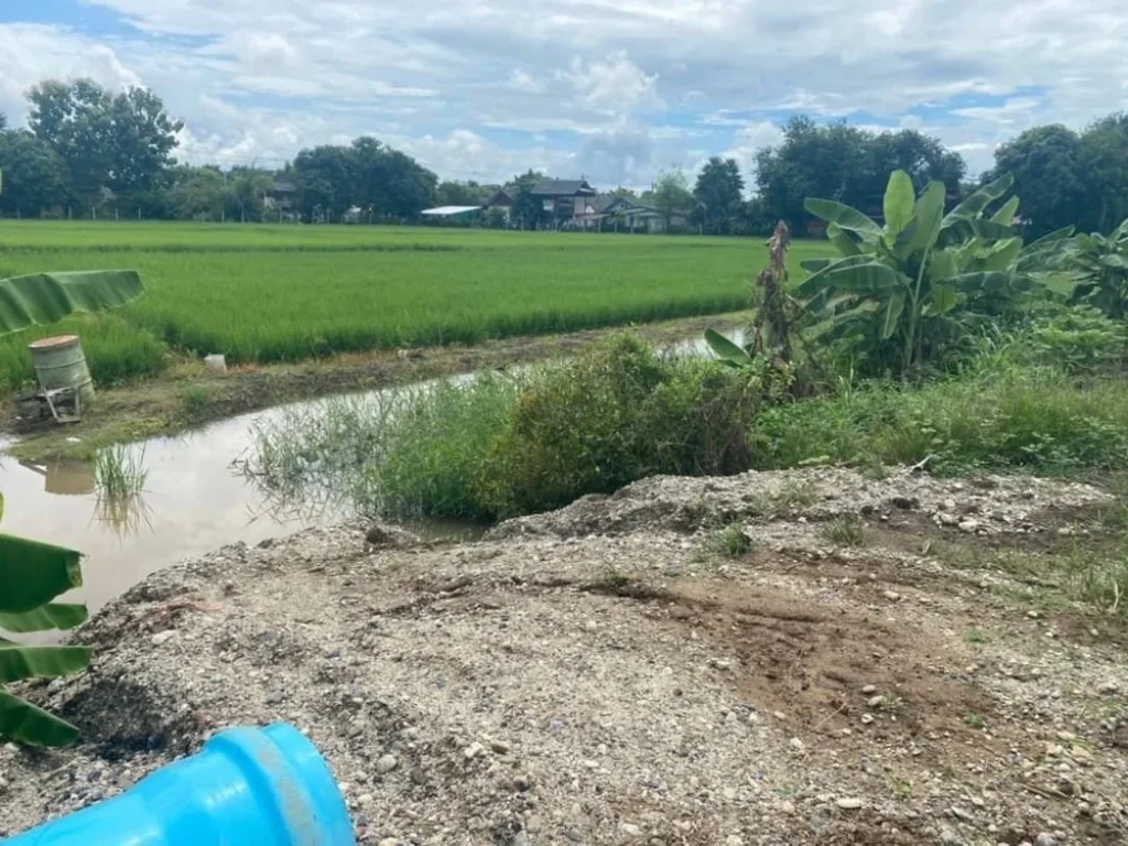 ขายที่ดิน ที่นาติดคลองชลประทาน 10-1-28 ไร่ อแม่ริม เชียงใหม่