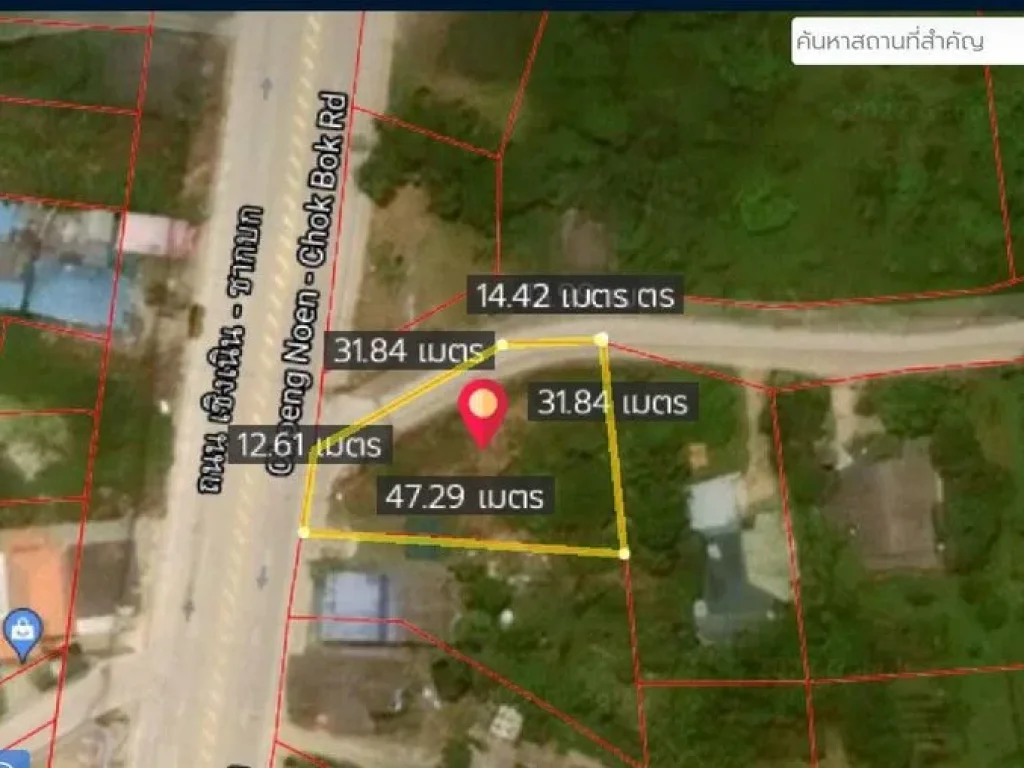 ขายที่ดิน 294 ตรว ตตาขัน อบ้านค่าย จระยอง ถนนเชิงเนิน-ซากบก ใกล้อบต บ้านตาขัน