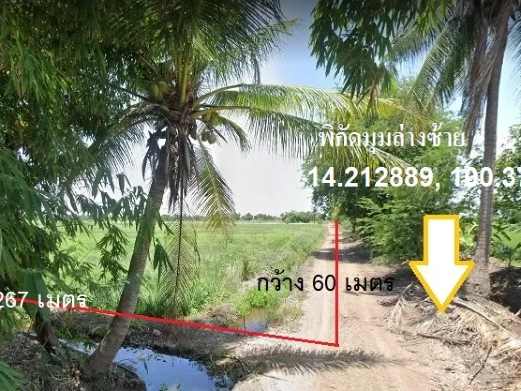 ขายที่ดินแปลงสวย ทำเลดี 10 ไร่ ราคา 5500000 บาท Land for sale 16000 square meters at Ayutthaya province