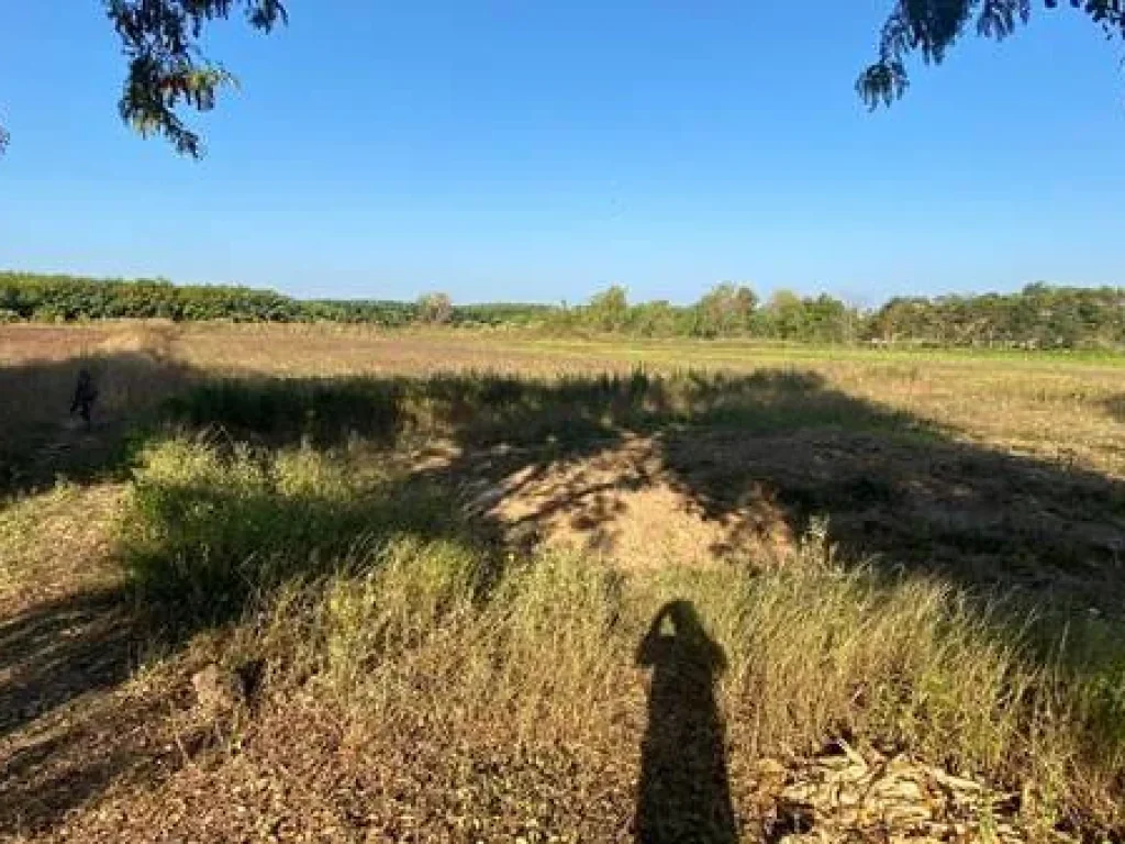 ขายที่ดิน 24 ไร่ ตำบลนาอาน อำเภอเมืองเลย จังหวัดเลย